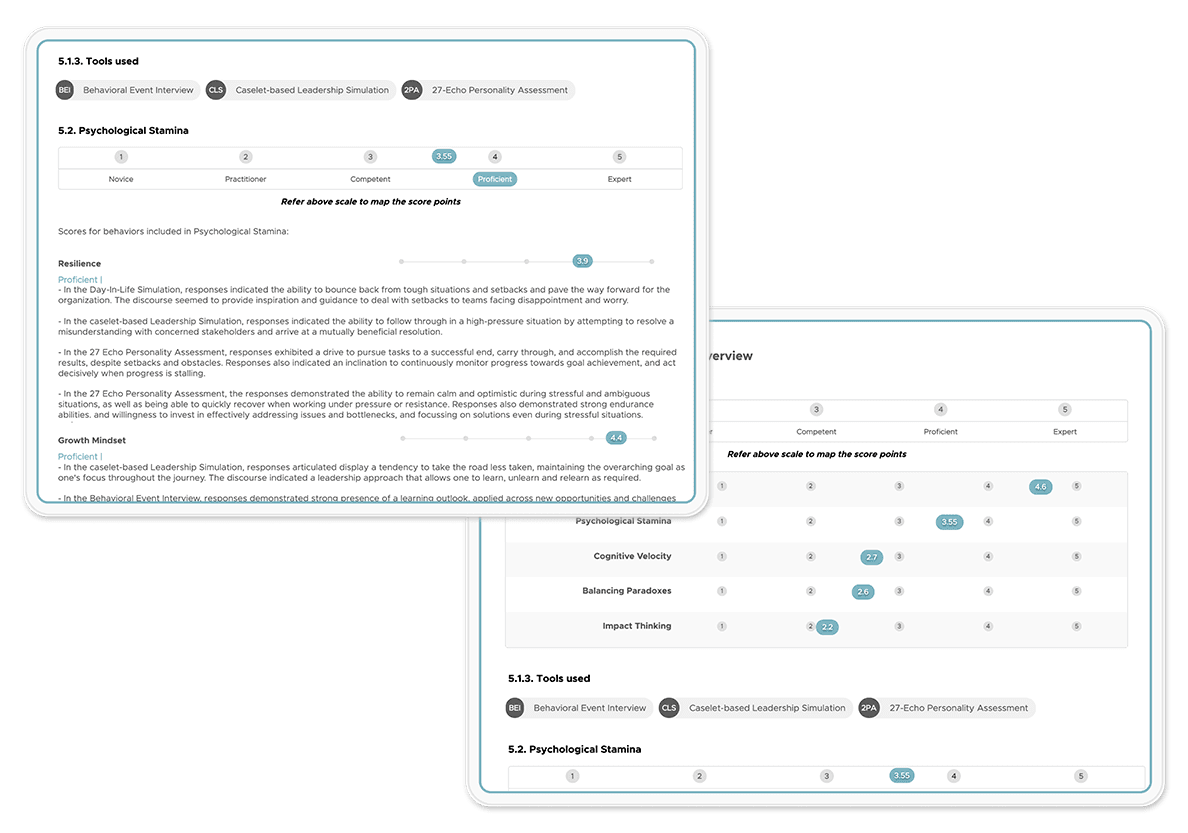 High-potential-Report-Visual